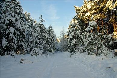 《东京迷城》系列新作公开 发售日期待定